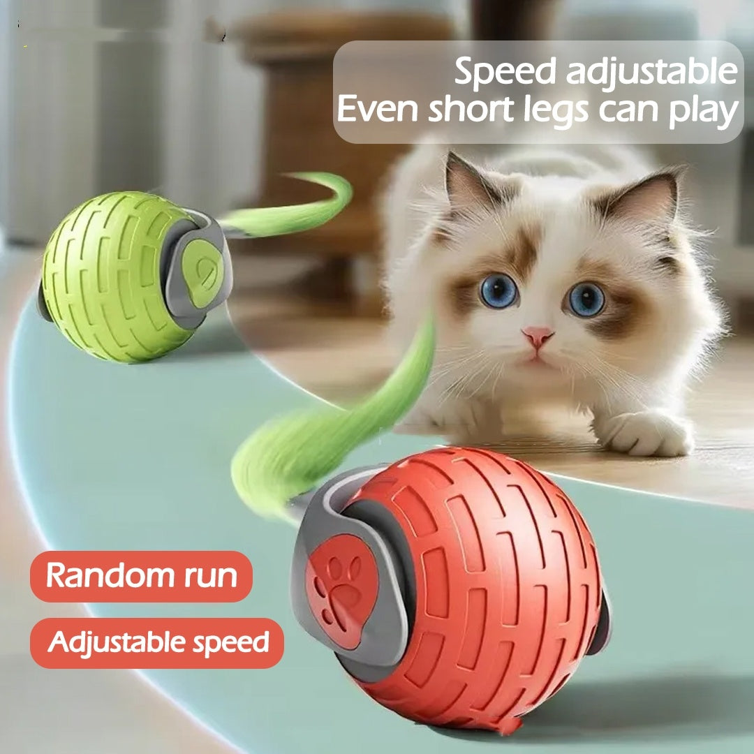 Pet Toys & Training – Interactive Play & Smart Training Solutions