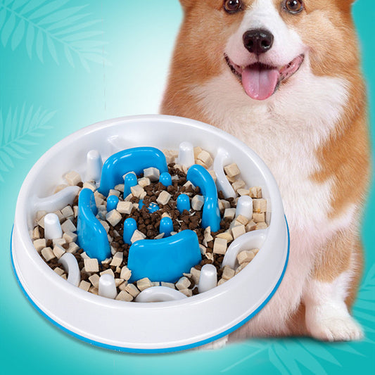 Pawfect Feeding & Hydration – Smart Pet Bow